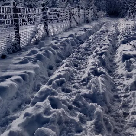 Braun שמאלנברג