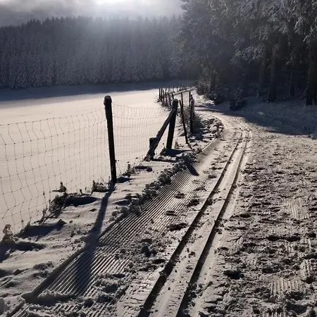 Braun שמאלנברג