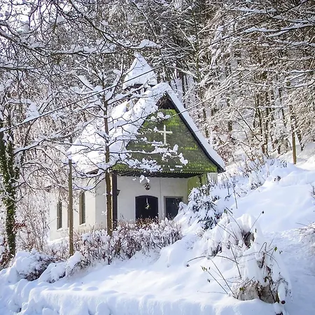 Braun מלון שמאלנברג