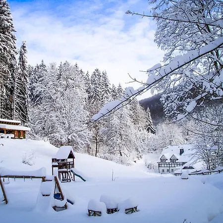 Braun מלון שמאלנברג