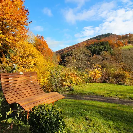 Braun מלון שמאלנברג