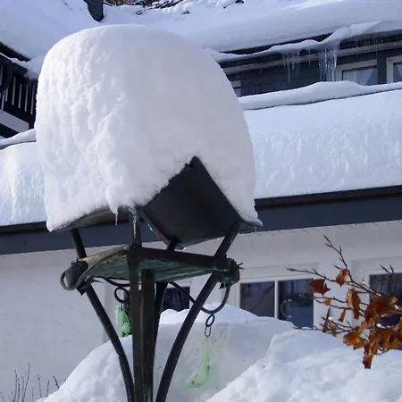 Braun 3* שמאלנברג