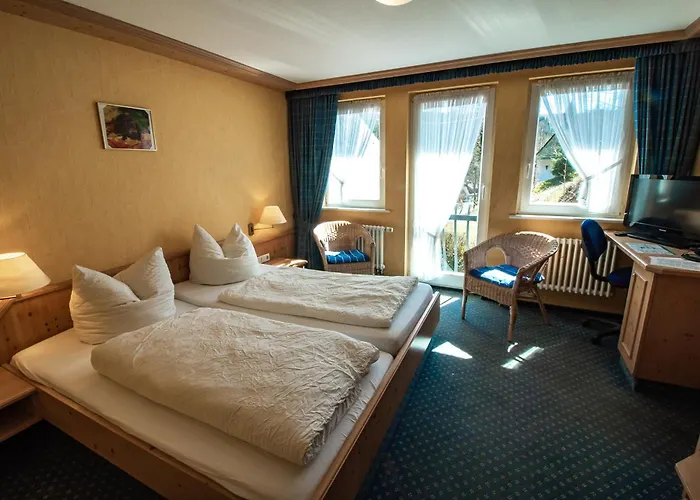 Hotel Braun 3*