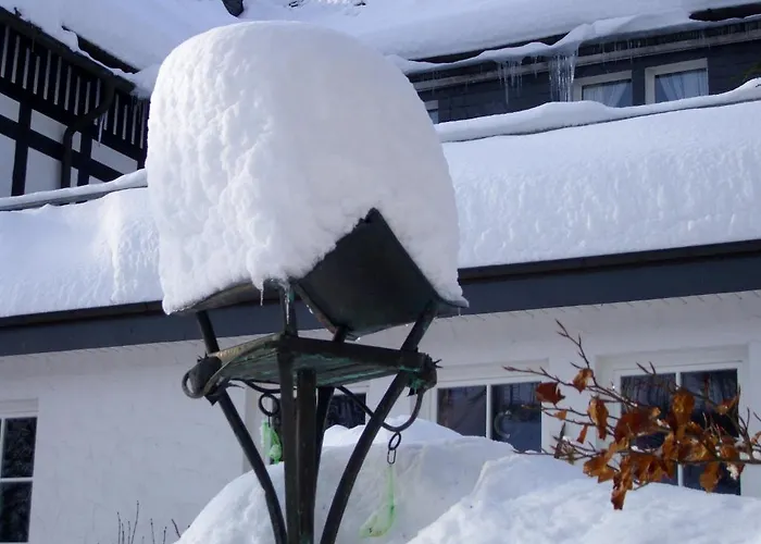 Braun 3* Schmallenberg